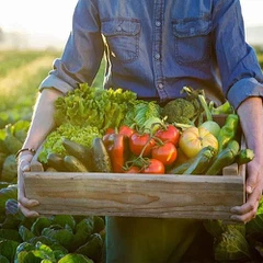 Økologisk planteekstrakt